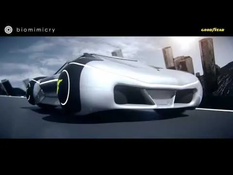 Нажми и смотри