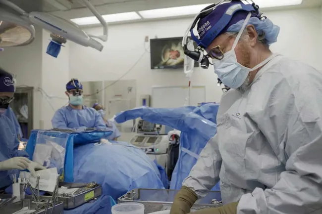 Хирурги считают пересадку органов от свиней будущим медицины для людей