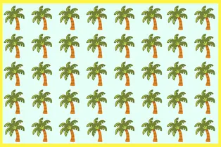 Какая пальма лишняя? Зрительный тест на проверку наблюдательности Какая пальма лишняя? Зрительный тест на проверку наблюдательности