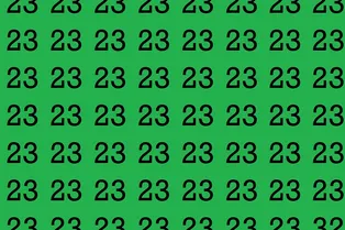 Проверка внимательности: попробуйте найти на картинке число 32 Проверка внимательности: попробуйте найти на картинке число 32