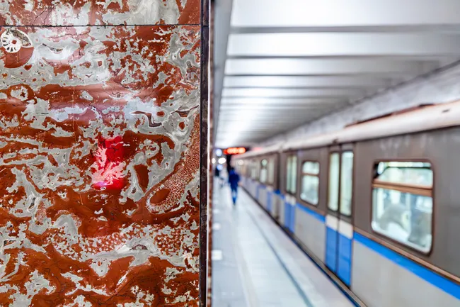 Кораллы, губки и наутилусы: как в облицовке московских станций метро появились древние организмы