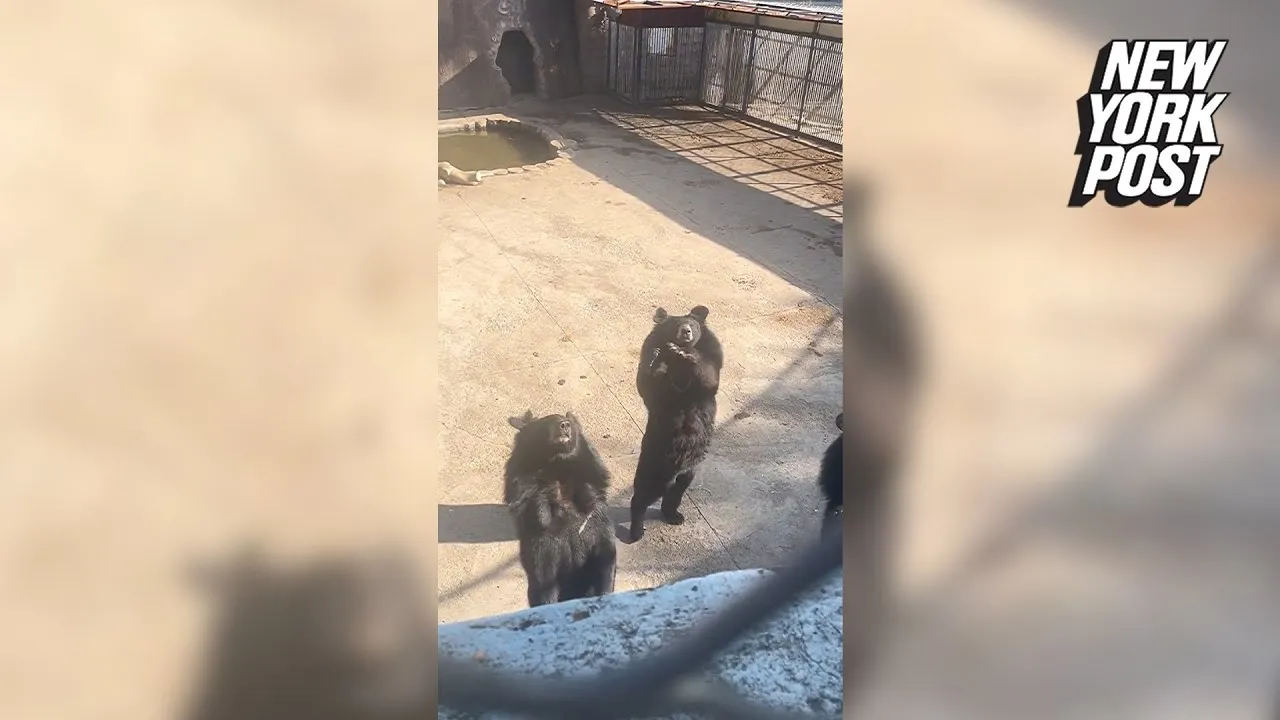 Нажми и смотри