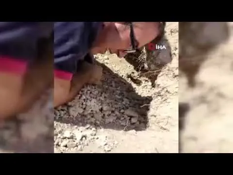 Нажми и смотри Нажми и смотри