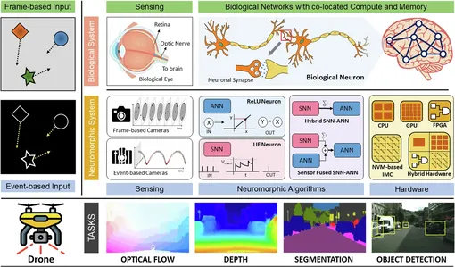 Комплексный нейроморфный вычислительный конвейер для навигации дронов на основе зрительного восприятия (VDN), охватывающий все этапы от сбора данных до обучения и аппаратной реализации.