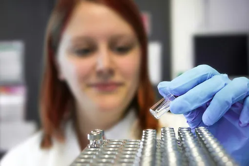 От бактерий до гениев: главные новости сегодня От бактерий до гениев: главные новости сегодня