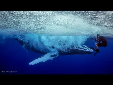 Нажми и смотри