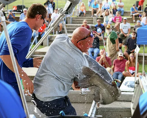 К такой рыбе страшно прикасаться!