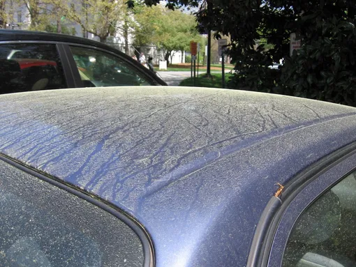 pollen on car roof