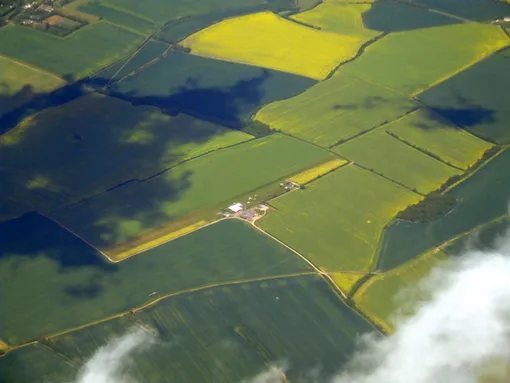 поля, вид с большой высоты