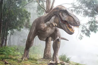 У Tyrannosaurus rex были уникально устроены ноги: они позволяли быстро ускоряться и долго бежать У Tyrannosaurus rex были уникально устроены ноги: они позволяли быстро ускоряться и долго бежать