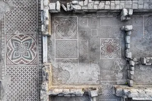 Эту редкую древнеримскую мозаику нашли на полу огромной виллы в Турции