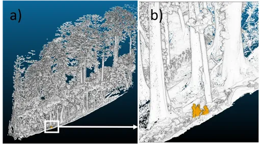 Технология LiDAR выявила группу людей в гигантском лесу Технология LiDAR выявила группу людей в гигантском лесу