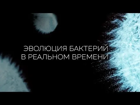 Нажми и смотри