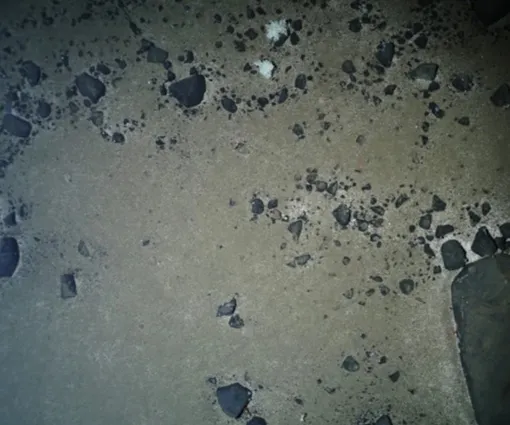 Тающие айсберги унесли эти камни на морское дно у берегов Гренландии. Тающие айсберги унесли эти камни на морское дно у берегов Гренландии.