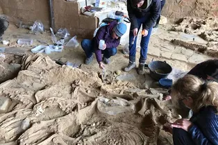 Наследие железного века! В Испании нашли яму для жертвоприношений с тысячами костей животных