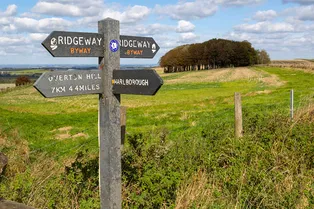 Километры истории: самые древние дороги в мире