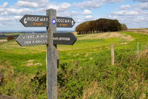 Километры истории: самые древние дороги в мире Километры истории: самые древние дороги в мире