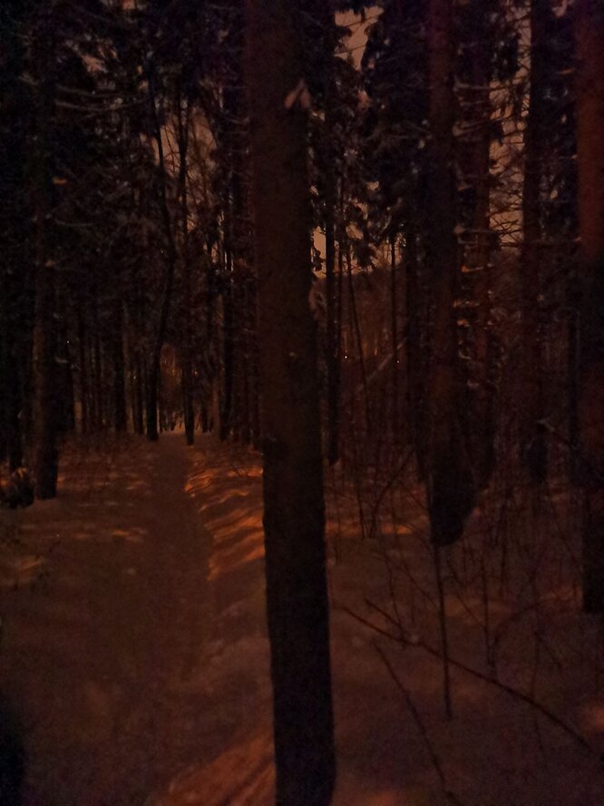 Основная камера, 12 МП, ночной режим