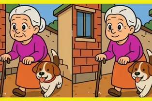 Старушка и пес: только самые зоркие найдут 3 отличия за отведенное время