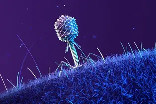 Микробы в экспериментах на МКС мутировали и развили удивительные суперспособности Микробы в экспериментах на МКС мутировали и развили удивительные суперспособности