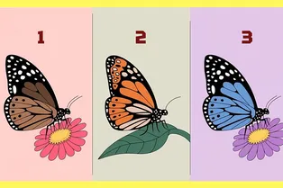 Психологический тест: выберите бабочку и узнайте, какой вы человек в компании друзей Психологический тест: выберите бабочку и узнайте, какой вы человек в компании друзей