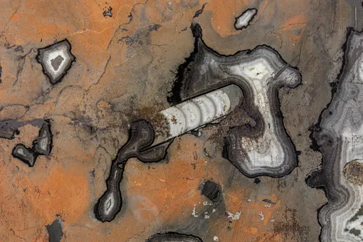 Раковина головоногого моллюска с гладкими перегородками, возраст – ок. 145 млн лет. Раковина головоногого моллюска с гладкими перегородками, возраст – ок. 145 млн лет.