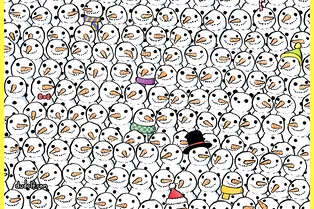 Тест-секунда на проверку внимательности: найдите панду среди снеговиков за ограниченное время Тест-секунда на проверку внимательности: найдите панду среди снеговиков за ограниченное время