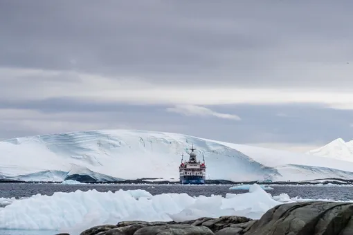 Антарктика