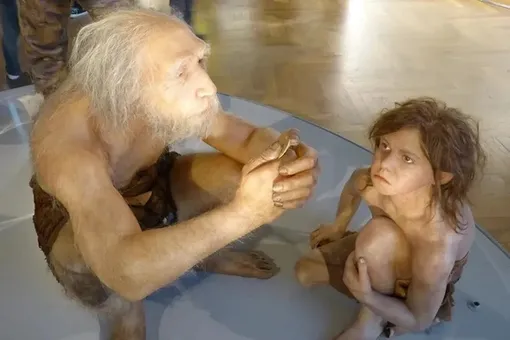 Реконструкция неандертальцев из Ля-Шапель-о-Сен, экспозиция венского музея естественной истории. Реконструкция неандертальцев из Ля-Шапель-о-Сен, экспозиция венского музея естественной истории.