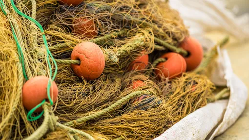 рыболовные сети