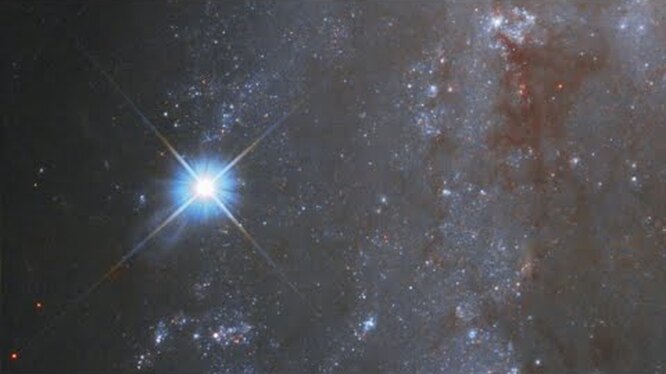 Нажми и смотри