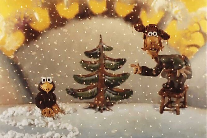 Новогодняя елка: какие бывают, как выбрать на елочном базаре и как ...