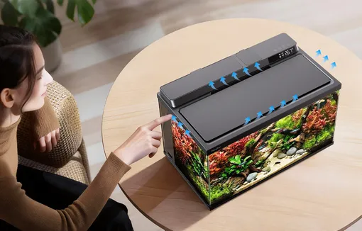 Аквариум с искусственным интеллектом для ухода за рыбками