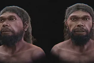 Как выглядели первые Homo sapiens: ученые восстановили лицо древнего человека Как выглядели первые Homo sapiens: ученые восстановили лицо древнего человека