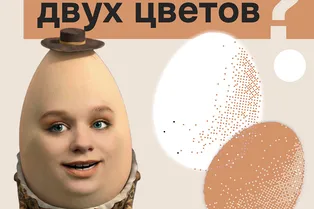 От чего зависит цвет куриных яиц?