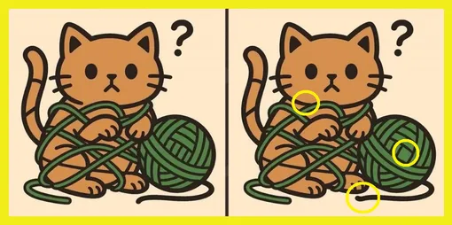 Ответ на головоломку