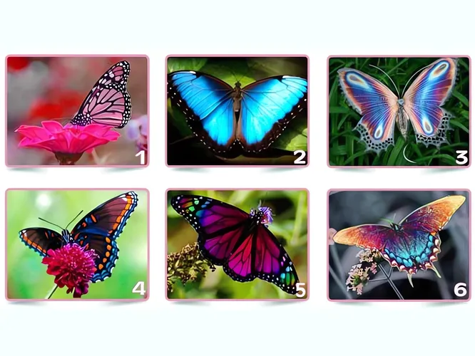 Делаем выбор!