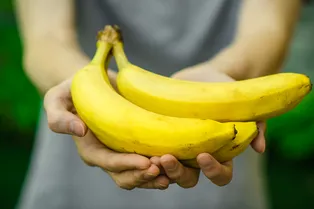 ГМО бананы могут спасти этот фрукт от вымирания — вы точно будете их есть! ГМО бананы могут спасти этот фрукт от вымирания — вы точно будете их есть!