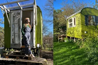 Успешная история переезда! Как зумерка поселилась в красивом сарае на заднем дворе родителей