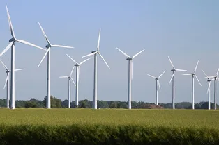 Если болит голова от шума ветряка, вы попались на эффект ноцебо