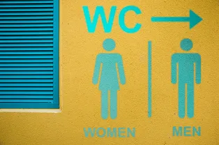 Правда или миф: почему женщины хотят мочиться чаще, чем мужчины