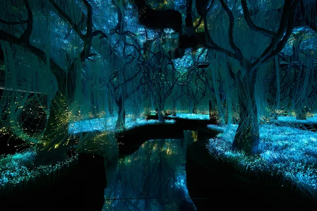 Искусство, технологии и эмоции: в Петербурге открылось фиджитал-пространство Futurione Emotions