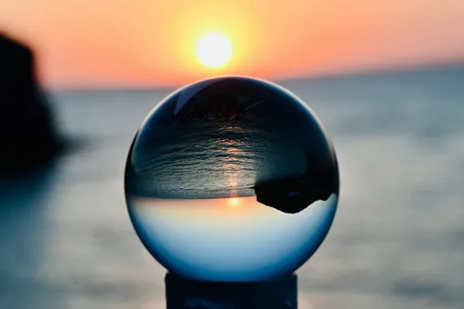 Математика, вакцины и шмели: главные новости сегодня Математика, вакцины и шмели: главные новости сегодня