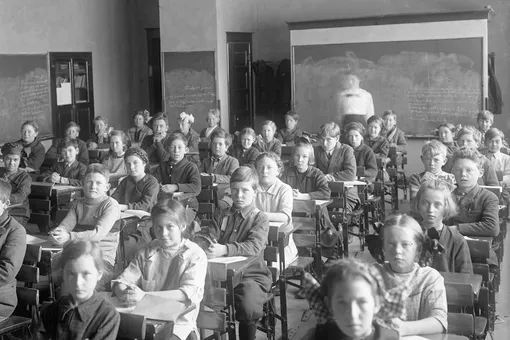 Школьный уровень или провал? Тест из программы 8–10 классов, который путает взрослых