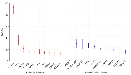 Оценка APOE ε3 и ε4 для AD