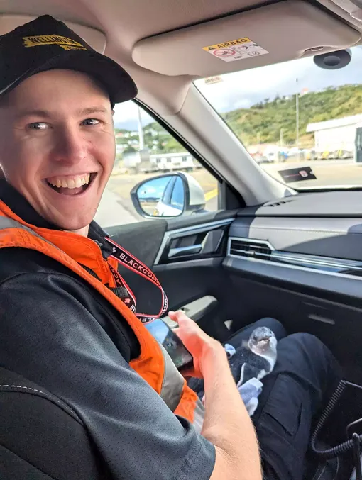 ветеринар с пингвином