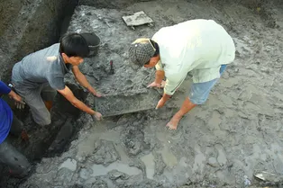 2000-летнее карри нашли во Вьетнаме — оно неплохо сохранилось! 2000-летнее карри нашли во Вьетнаме — оно неплохо сохранилось!