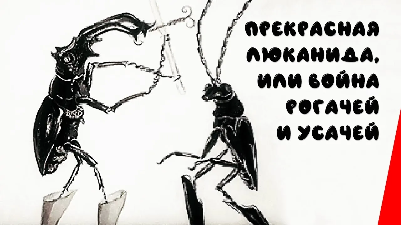 Нажми и смотри Нажми и смотри