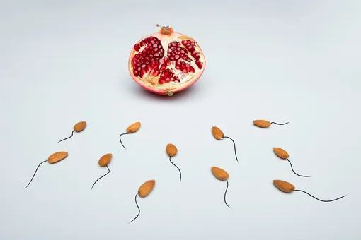 Магнитные марионетки: как сперматозоиды превратились в управляемых киборгов Магнитные марионетки: как сперматозоиды превратились в управляемых киборгов