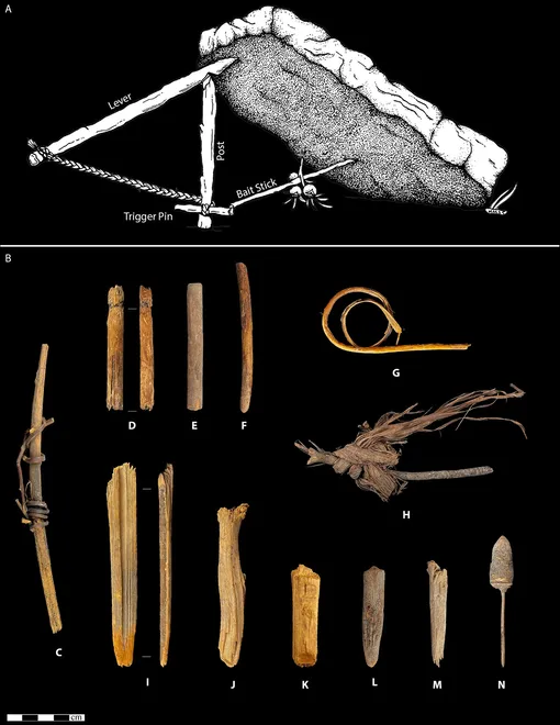 Артефакты из Кугар-Маунтин.